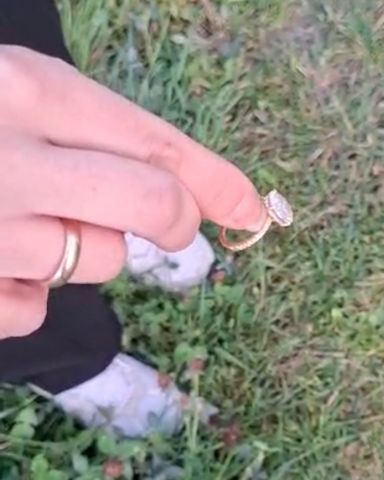 Ring auf der Pferdewiese verloren