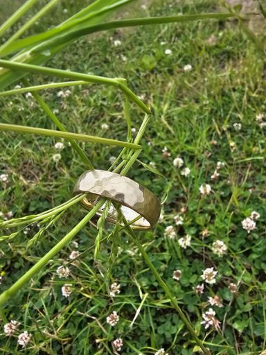 Ring im See gefunden