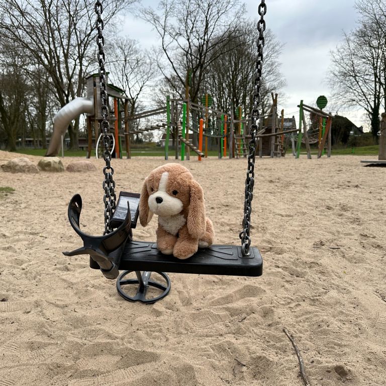 Verlobungsring auf dem Spielplatz verloren