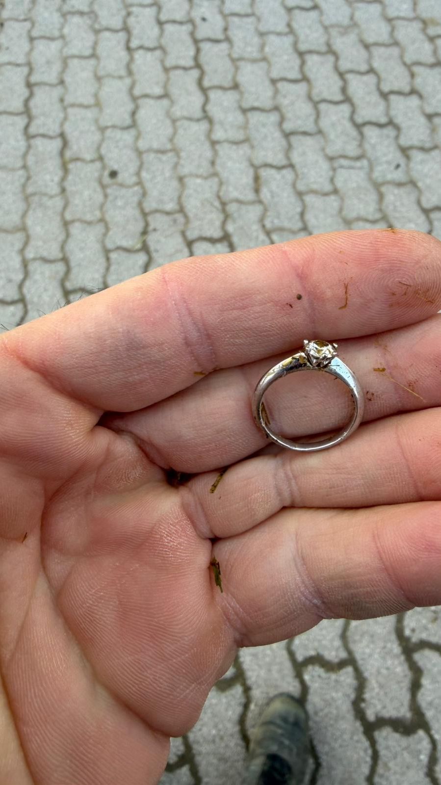 Ring im Stall gefunden