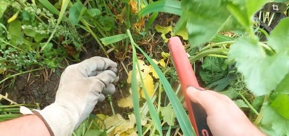 Metalldetektor Bayern Ring auf dem Feld verloren
