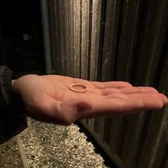 Ring in Kalifornien gefunden