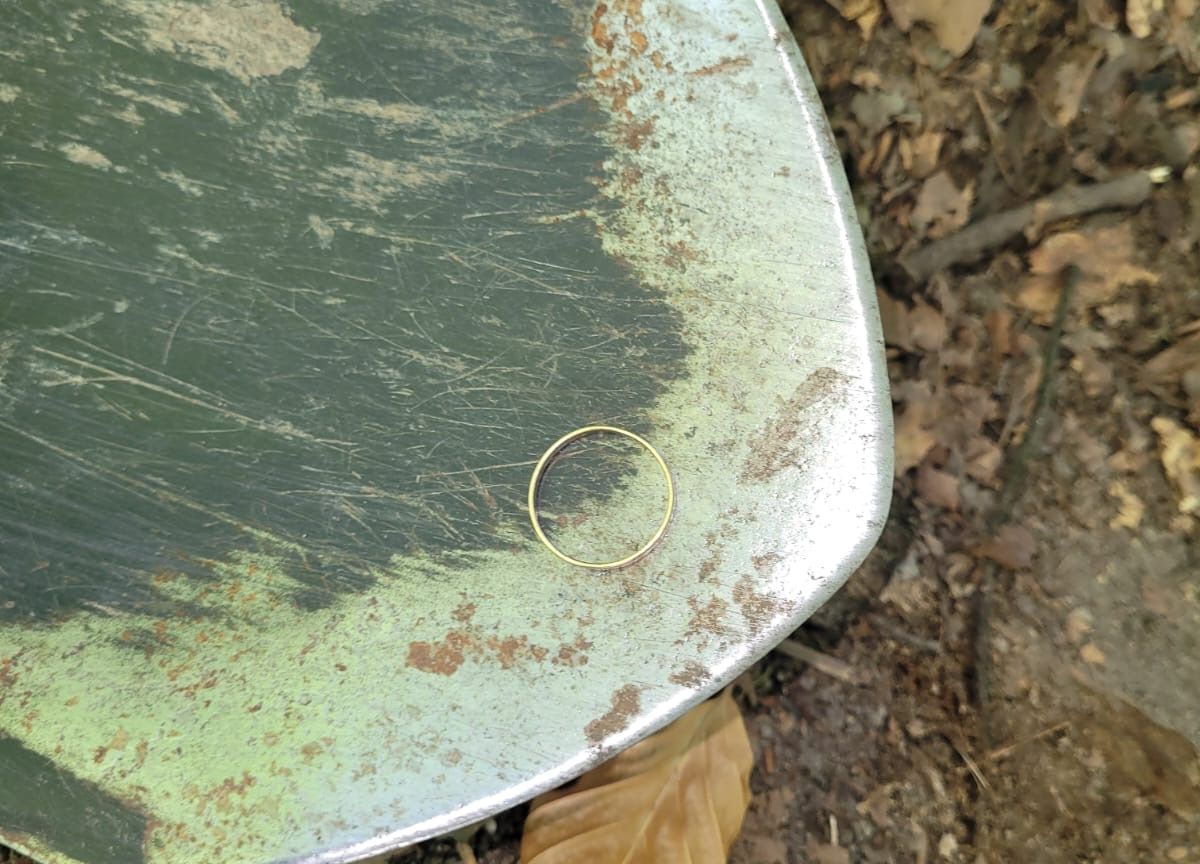 Metalldetektor Stuttgart Ring im Wald verloren