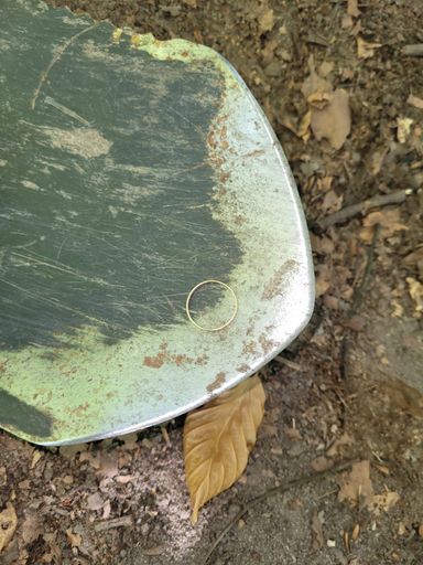 Ring am Waldparkplatz Dürrbachtal verloren