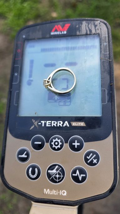 Ring in Hessen im Gartenteich verloren