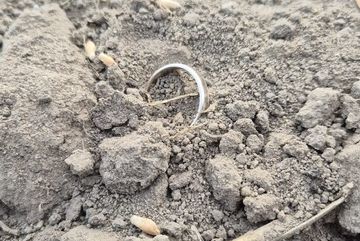Ring auf dem Feld verloren