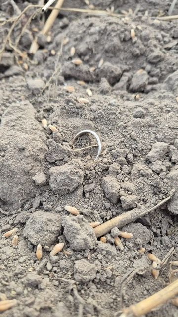 Ring in Brandenburg auf dem Acker verloren