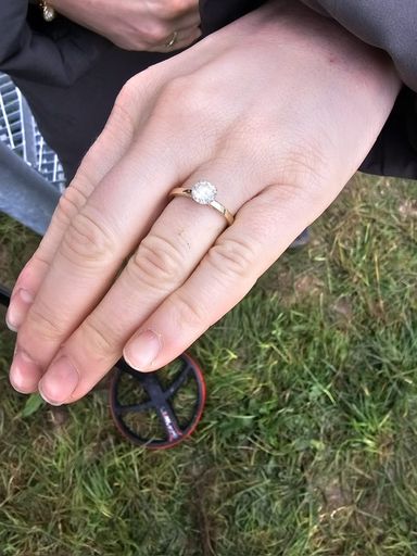 Ring im Gras wiedergefunden